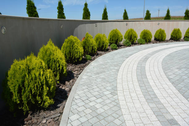 Best Driveway Pavers Near Me  in Montgomery, IL